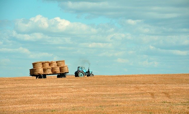 agriculture