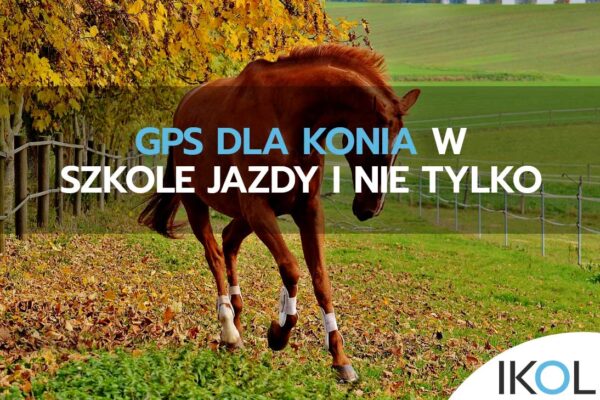 lokalizator GPS dla konia - niezawodny monitoring
