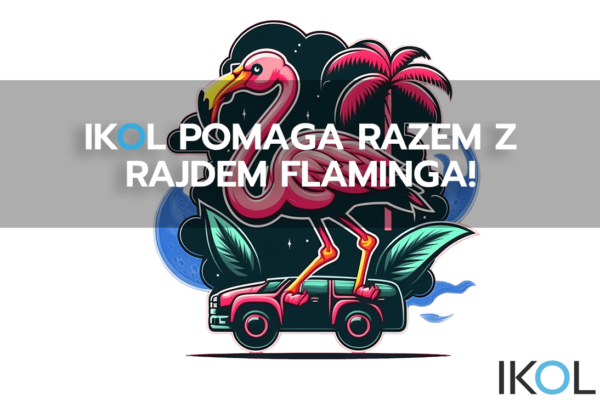 ikol pomaga w rajdzie flaminga