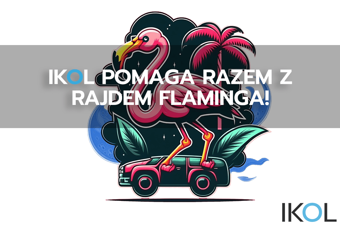 ikol pomaga w rajdzie flaminga